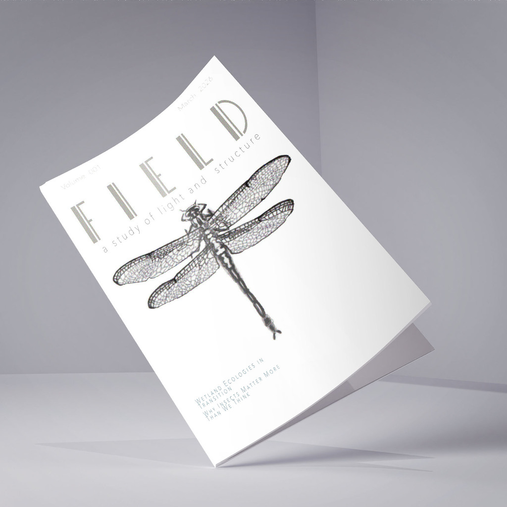 Magazine Cover Graphic Design