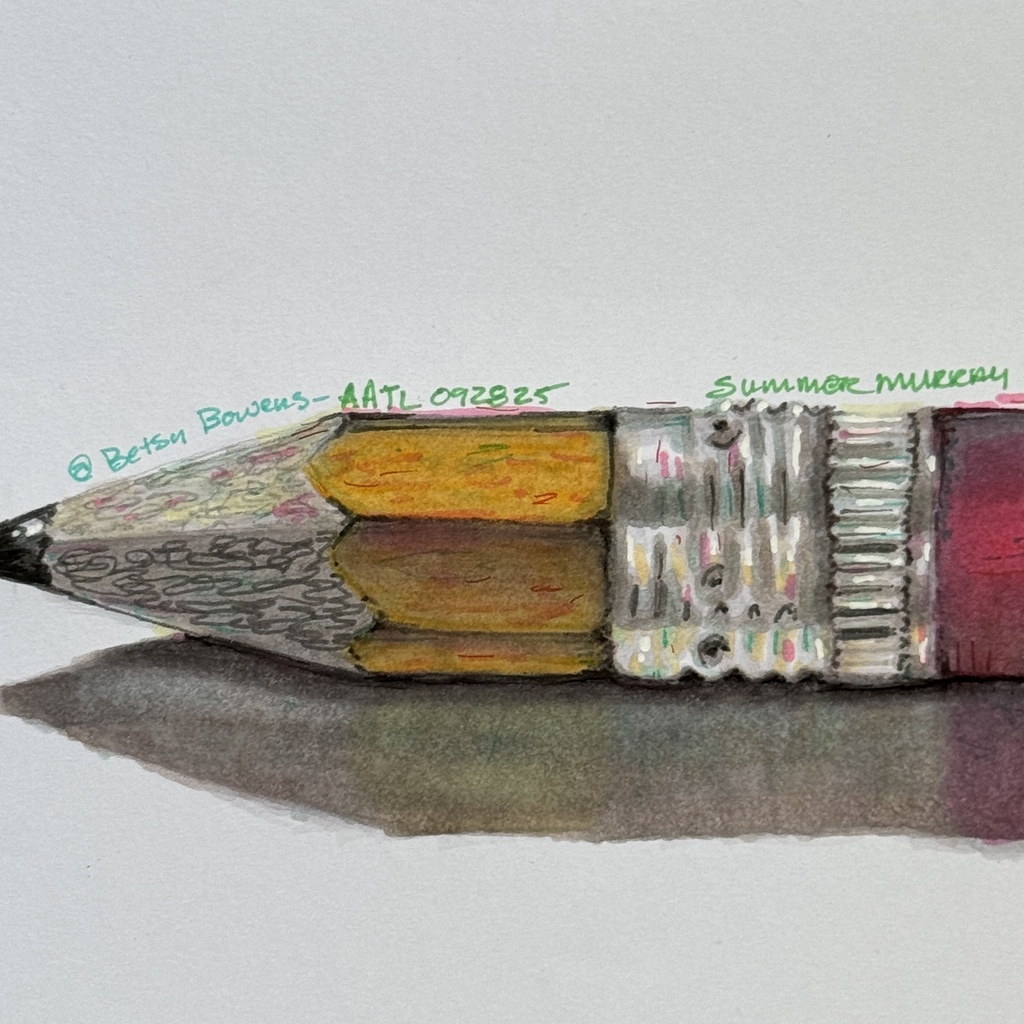 Hand Drawn Illustration