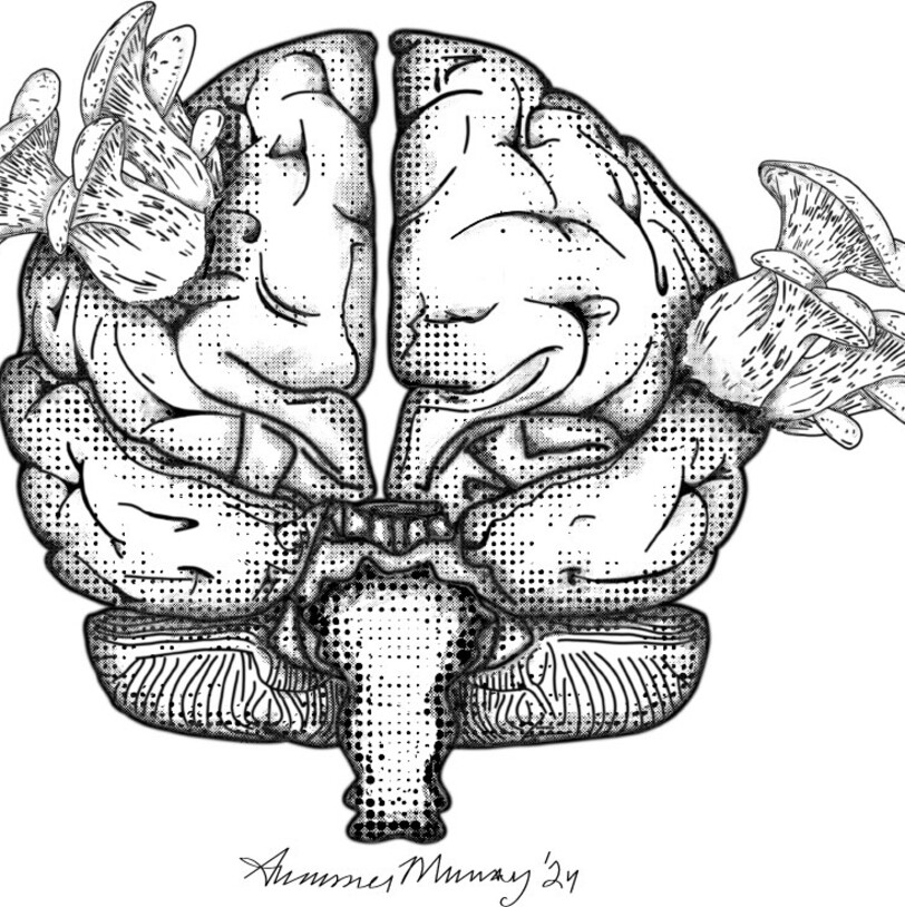 Vector Illustration Mushroom Brain